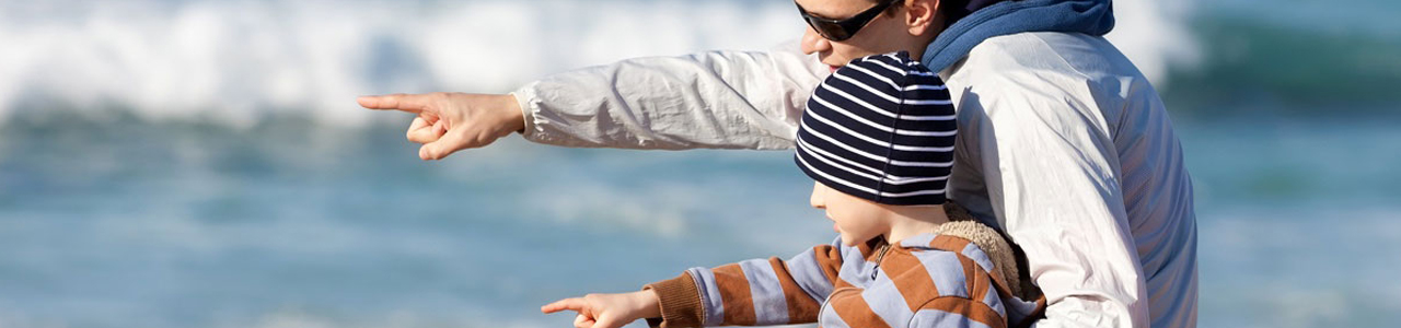 Zorunlu Sorumluluk Sigortaları